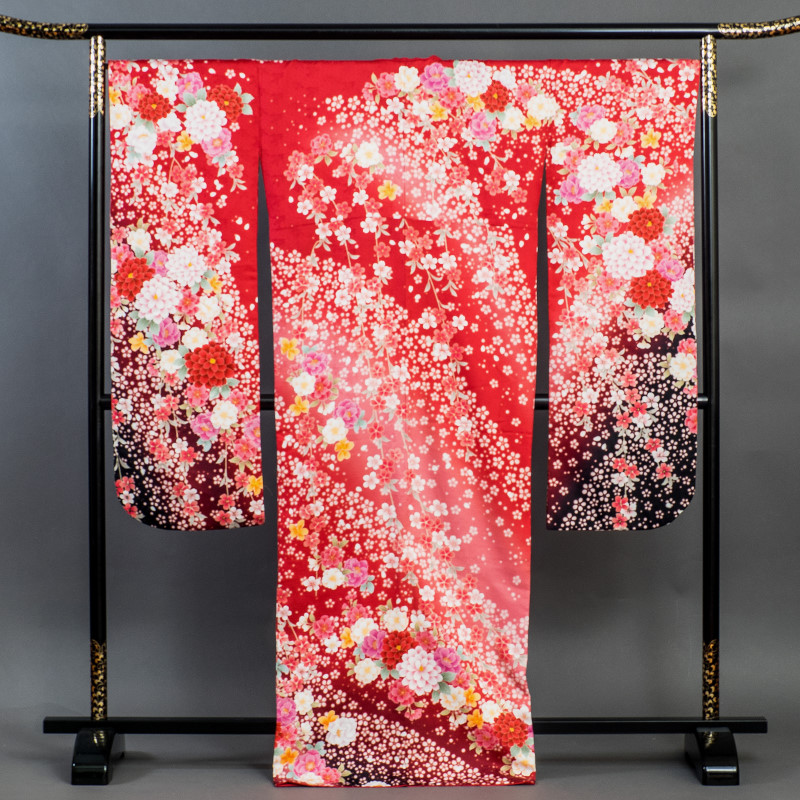 S13　茜色菊水